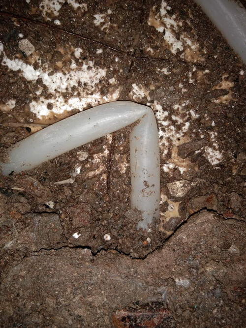 朗县堵点精准查找